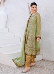 Enchanting Chiffon Frock