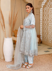 Net Frock Ensemble