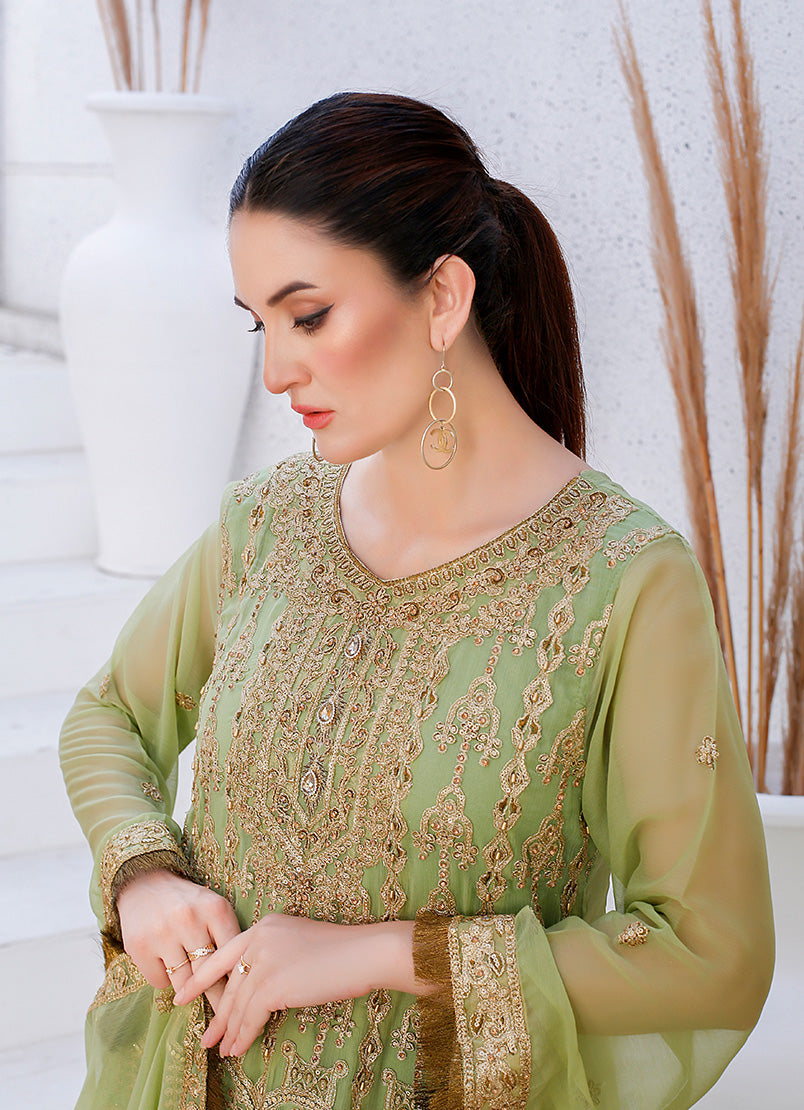 Enchanting Chiffon Frock