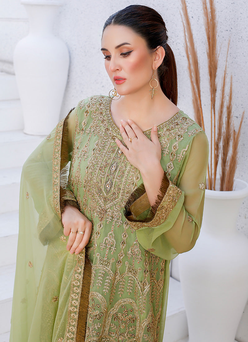 Enchanting Chiffon Frock