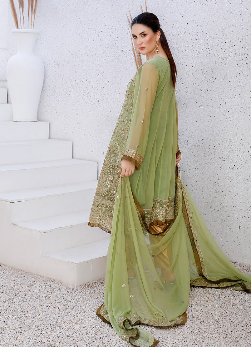 Enchanting Chiffon Frock
