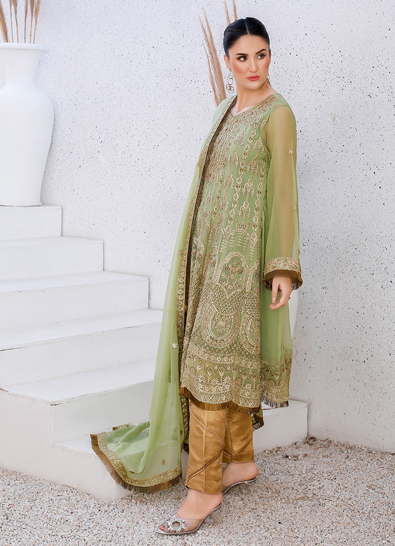 Enchanting Chiffon Frock