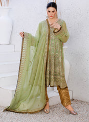 Enchanting Chiffon Frock