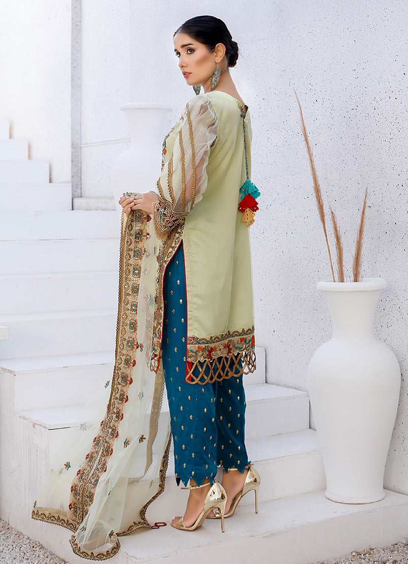 Elegance Net Ensemble