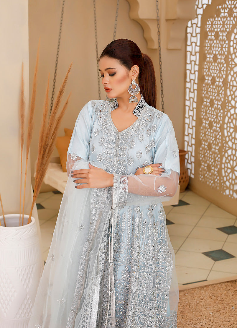 Net Frock Ensemble