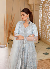 Net Frock Ensemble