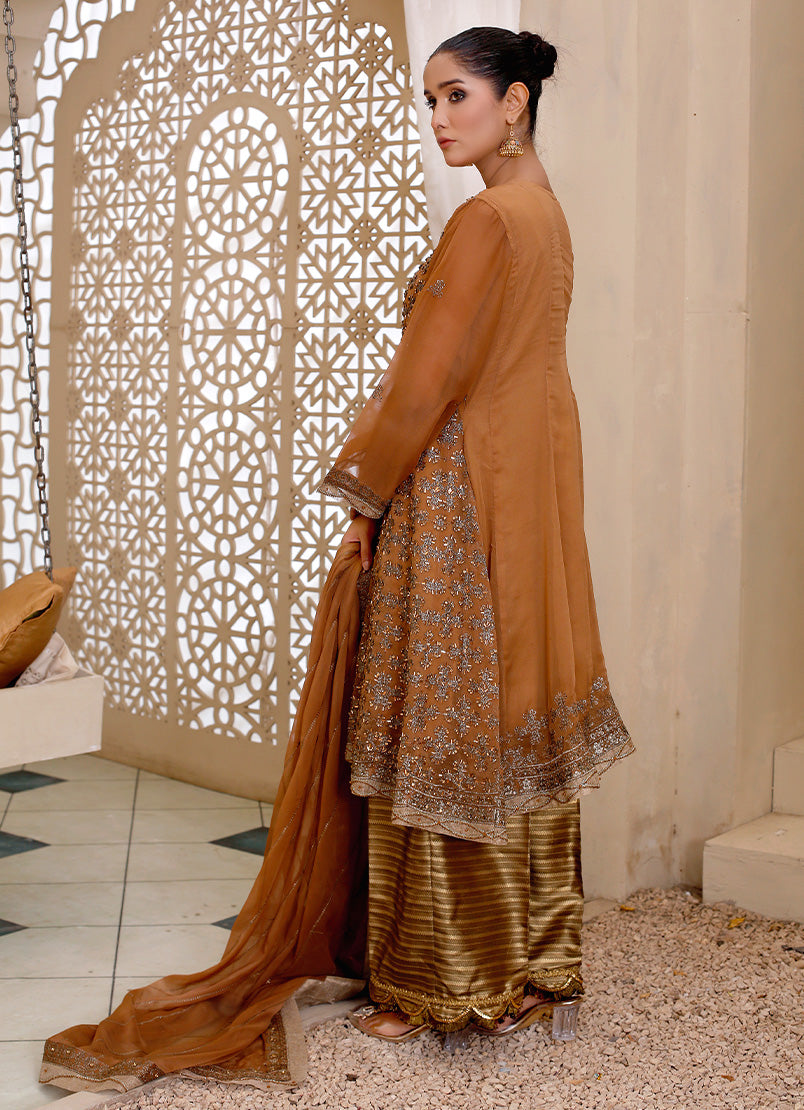 Elegant Frock Fantasy