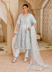 Net Frock Ensemble