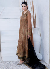 Chiffon Elegance