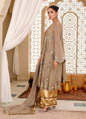 Graceful Zari Ensemble
