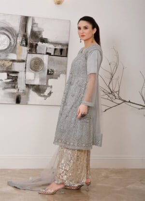 Alternative view of Crush Effect