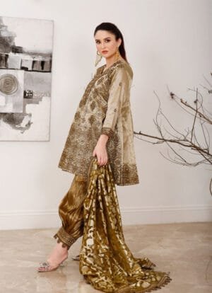 Alternative view of Gold Star