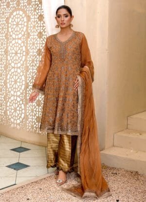 Elegant Frock Fantasy