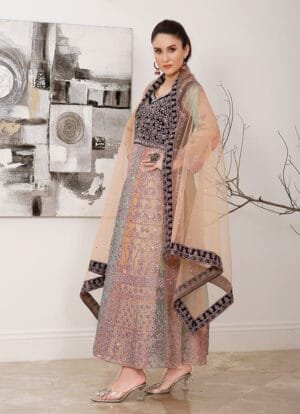 Alternative view of Stardust