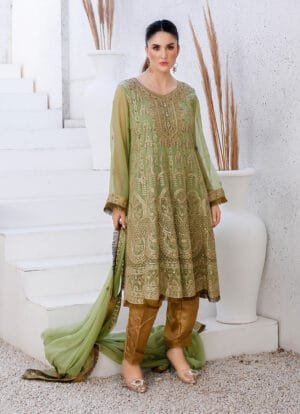 Enchanting Chiffon Frock