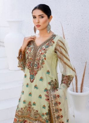 Alternative view of Elegance Net Ensemble